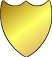 Shield #8 - 40mm x 36mm