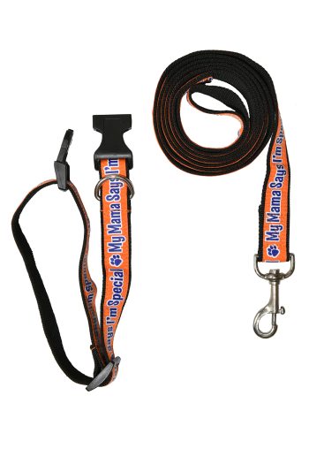 Pet Leads & Collars